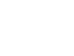 Cornerstone Web Studio White Lion Logo